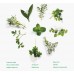 Mofan Silk Pad - Herb, winged